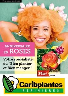 image de couverture du cataloque Anniversaire en roses