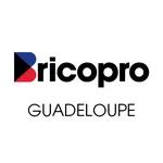 Logo de l'enseigne Bricopro