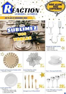 Catalogue promo réaction du 14 au 31 décembre 2023