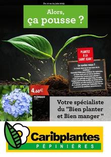 Catalogue promo caribplantes du 10 au 24 juin 2023