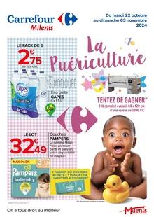 Catalogue promo carrefour du 22 octobre au 3 novembre 2024