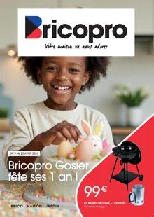 Catalogue promo bricopro du 5 au 20 avril 2025