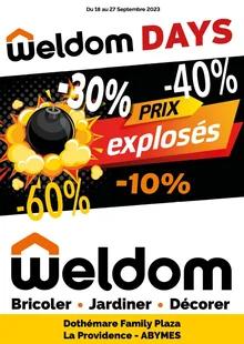 image de couverture du cataloque Weldom days