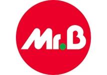 Logo de l'enseigne Mr Bricolage