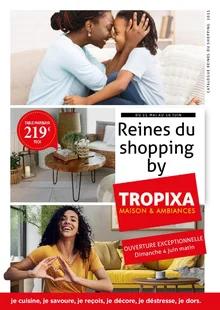Image de couverture du cataloque Reines du shopping by tropixa