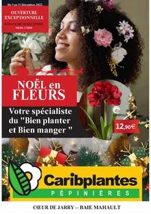 image de couverture du cataloque Noël en fleur