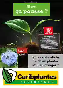  catalogue promo Caribplantes 
