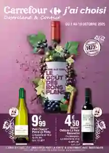  catalogue promo Carrefour  