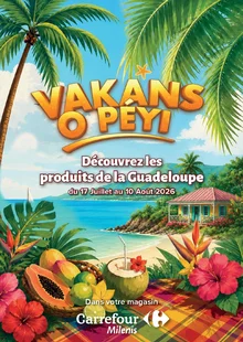  catalogue promo Carrefour  