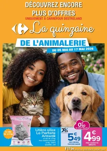 catalogue promo Carrefour 
