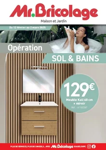  catalogue promo Mr Bricolage 