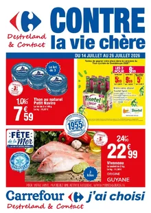  catalogue promo Carrefour  