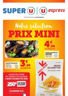  catalogue promo Super U  