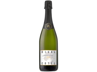 article en promo : Champagne brut*