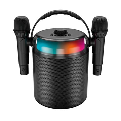 article en promo : LEDWOOD PLAYKARAOKE